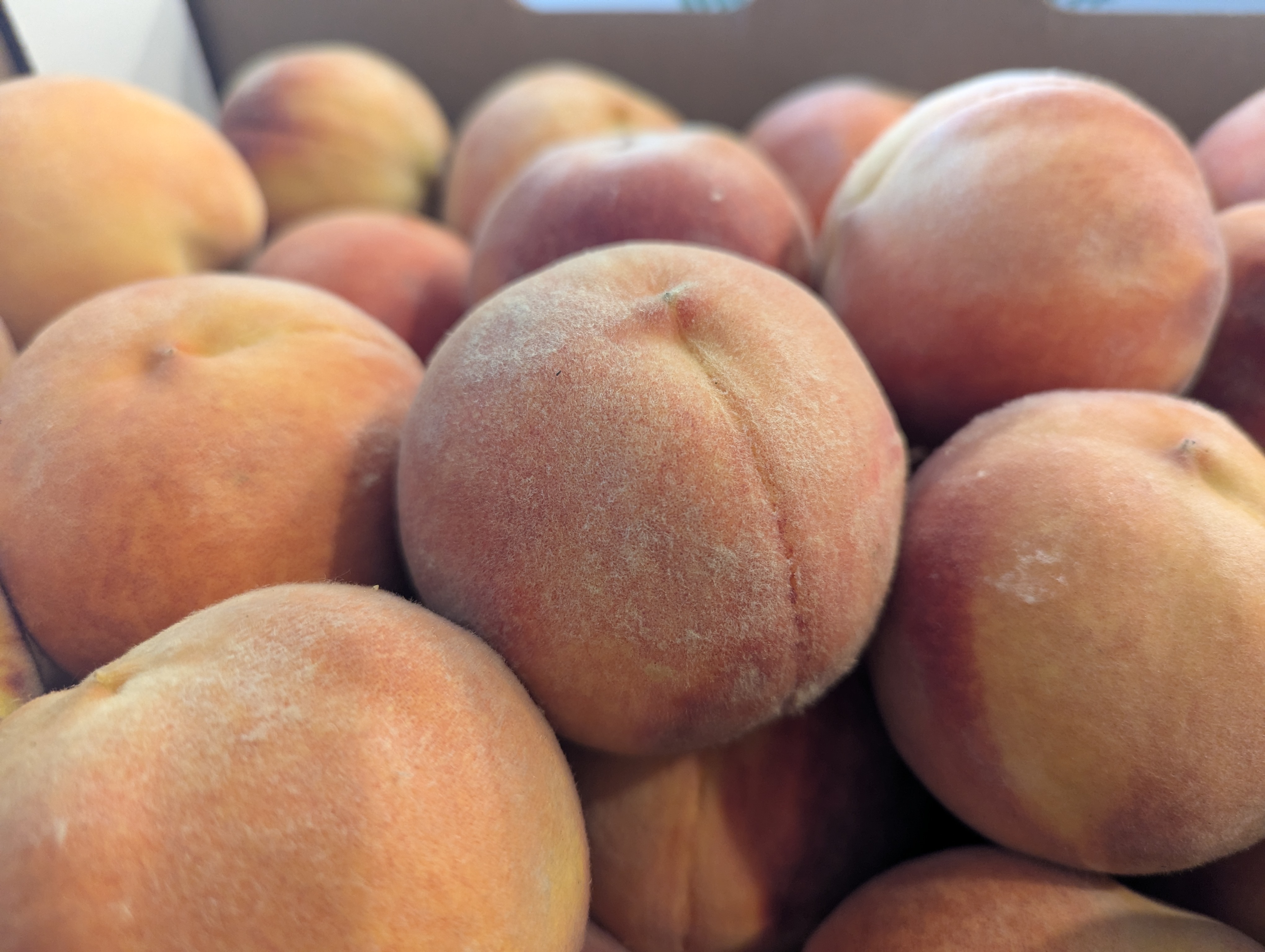 Palisades Peaches, Morrison, Colorado